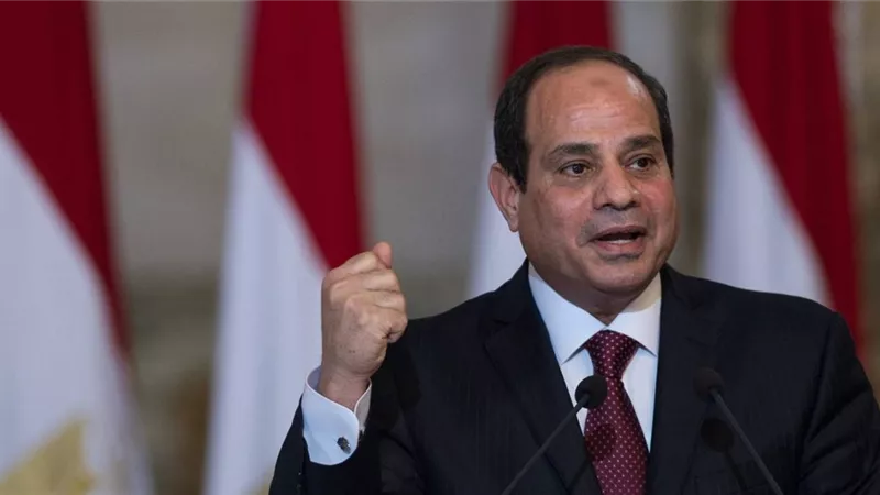 أحمد الصاوي: فيتو الرئيس يعكس رفض الشارع لسوء أداء الأجهزة الحكومية|خاص