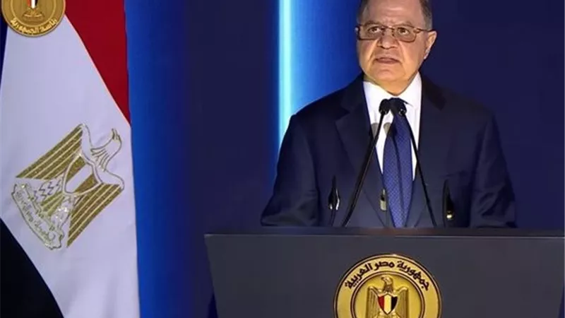 الجريدة الرسمية تنشر قرار حرمان تونسية من الجنسية المصرية 