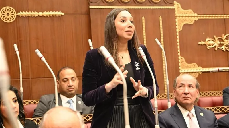 حنان وجدي: توافق برلماني على انتقال ذوي الإعاقة من الرعاية للتمكين 