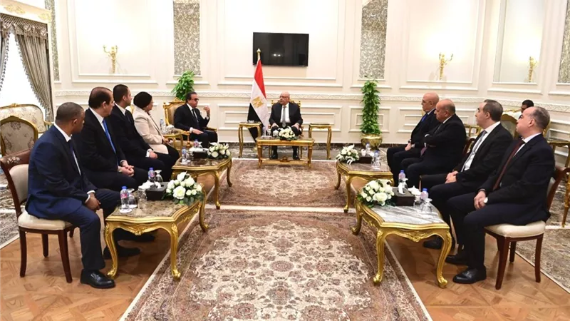 هشام بدوي يستقبل نائب رئيس الوزراء ووزير الصحة بمجلس النواب|تفاصيل