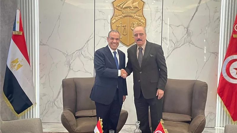 بشأن أزمة ليبيا.. وزير الخارجية يصل مطار «قرطاج» الدولي التونسي 