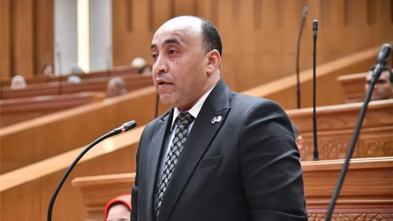 حسام حسن الخشت يطالب برقابة صارمة على مكاتب التشغيل والسياحة