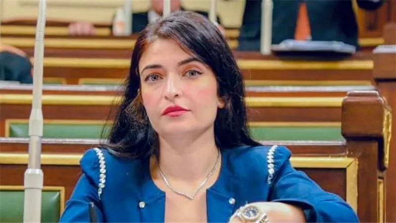 إيرين سعيد رئيسًا للهيئة البرلمانية لحزب الإصلاح والتنمية