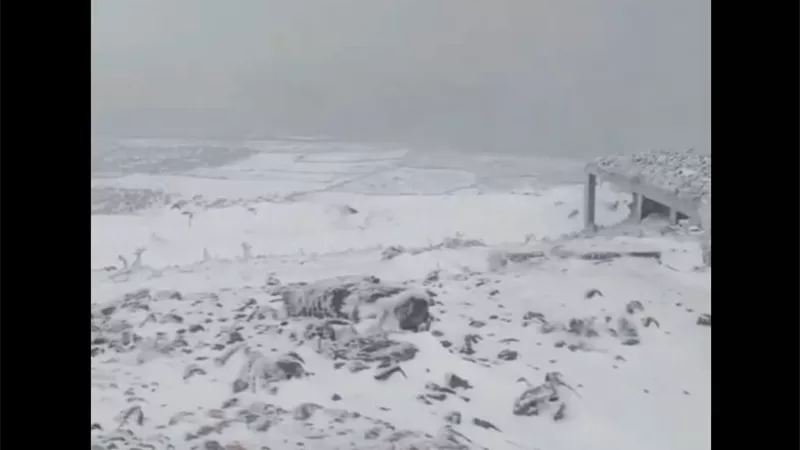 وكأنها قطعة من أوروبا.. حلب السورية تكتسي بالثلج في مشهد نادر| فيديو