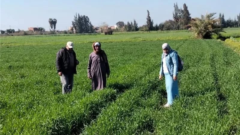 وكيل «زراعة كفر الشيخ» يتابع أعمال الجمعيات وشكاوى المزارعين