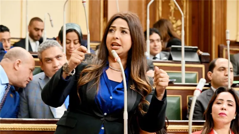 نشوى الشريف تتحرك برلمانيا ضد إلغاء الإعفاء الجمركي على الهواتف المستوردة