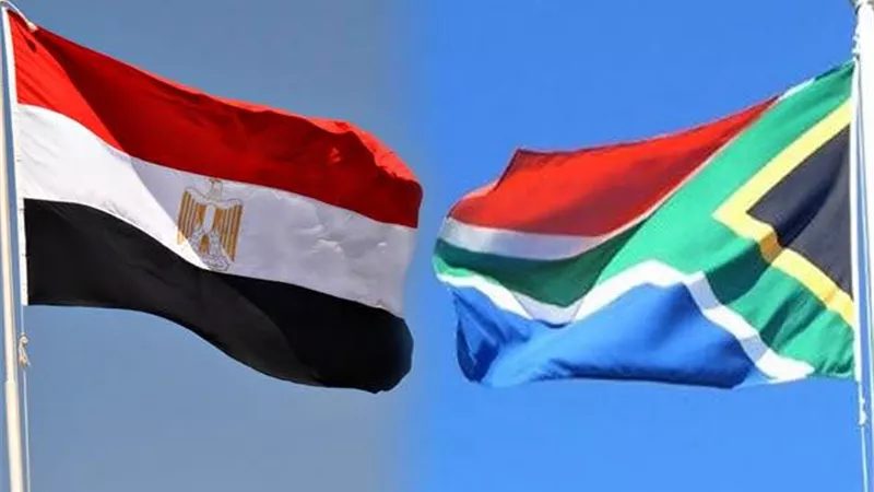 200 مليون دولار تبادل تجاري.. مصر وجنوب أفريقيا تعززان الشراكات الاقتصادية