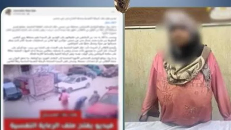 «مضطربة نفسيا».. الداخلية تكشف لغز فيديو تعدي سيدة على أخرى في عين شمس