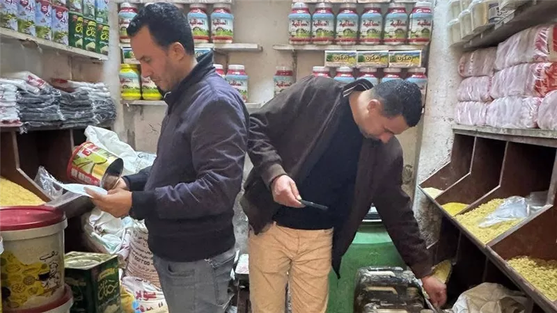 «تموين الشرقية»: حملات رقابية مكثفة تضبط 786 قضية