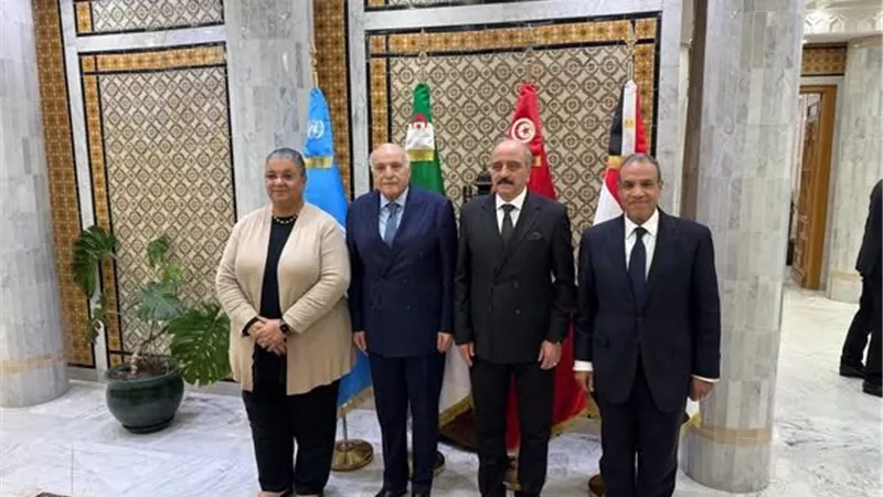 مصر تشدد على رفض أي إملاءات خارجية بشأن الأزمة في ليبيا 