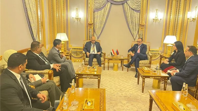 وزير العمل يبحث مع نظيره الأرميني تعزيز التعاون وتوفير العمالة المصرية 