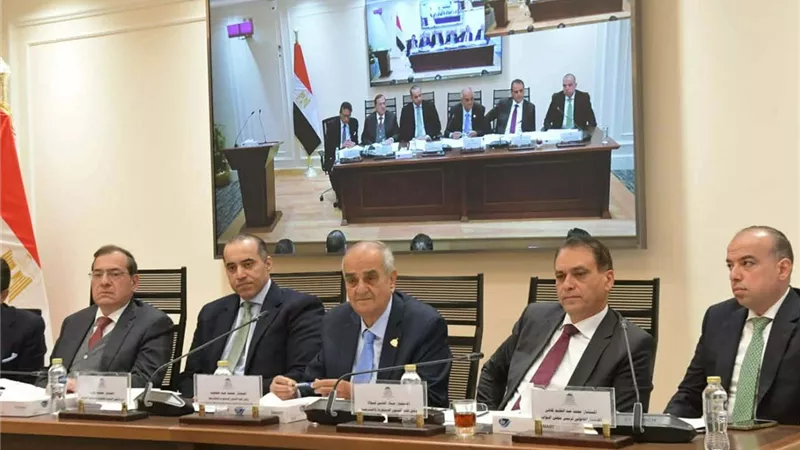 من قالوا لا في وجه من قالوا نعم.. الرافضون لـ مشروع قانون الكهرباء |تقرير