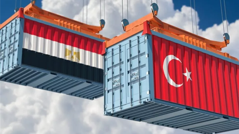أين ذهبت الصادرات المصرية؟.. الإمارات وتركيا تتصدران أكبر 5 أسواق في 2025