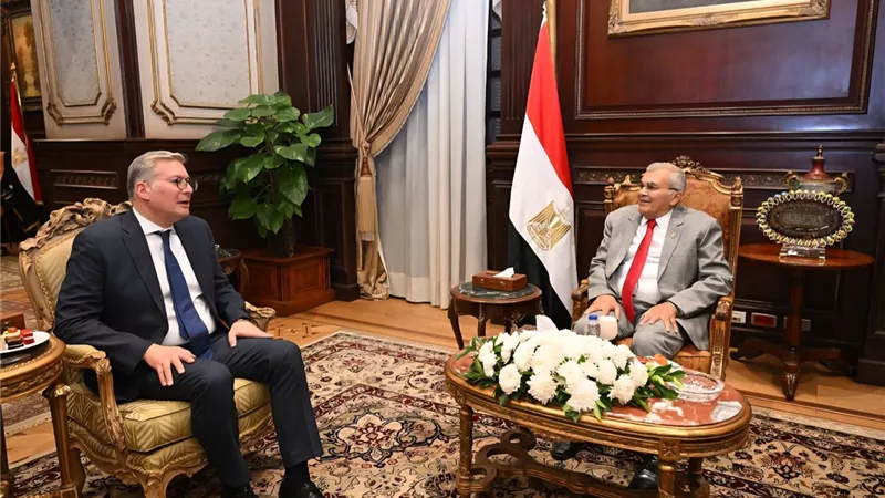 رئيس مجلس الشيوخ يبحث مع وزير البترول تعزيز التعاون المشترك