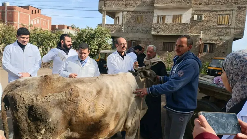 محافظ الدقهلية يتابع تنفيذ قافلة بيطرية مجانية لدعم الثروة الحيوانية 