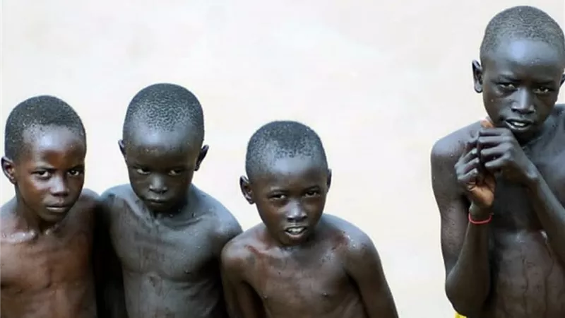 الشجر وجلود الحيوانات طعامهم.. سكان الدلنج في السودان يروون مأساة الحصار
