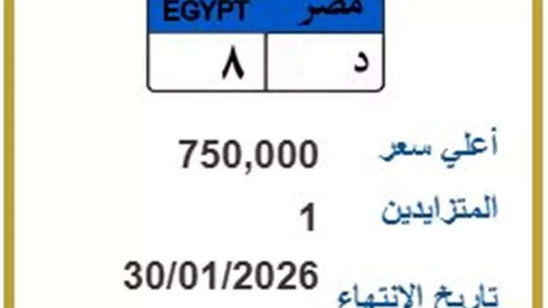 بـ750 ألف جنيه.. المرور تطرح لوحات معدنية مميزة|تفاصيل