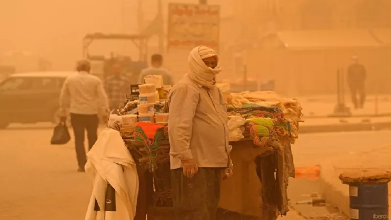 عاصفة ترابية.. تغيرات مناخية تضرب مصر وتهدد المحاصيل الزراعية|فيديو