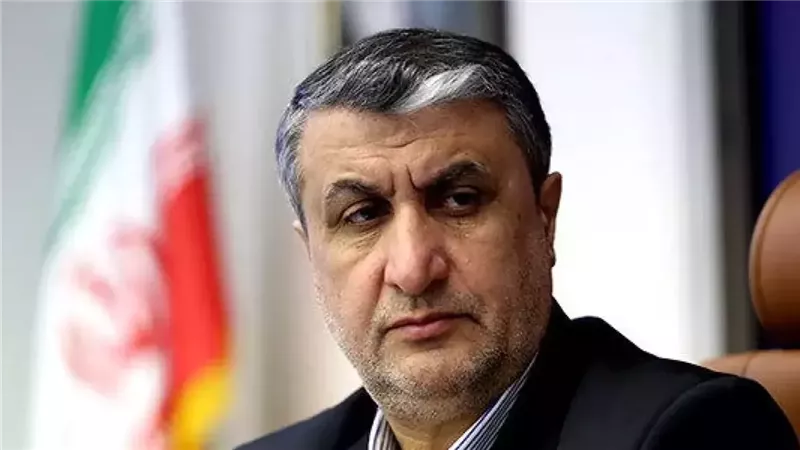 إيران: الملف النووي ذريعة معادية وعلى جروسي الالتزام بواجباته