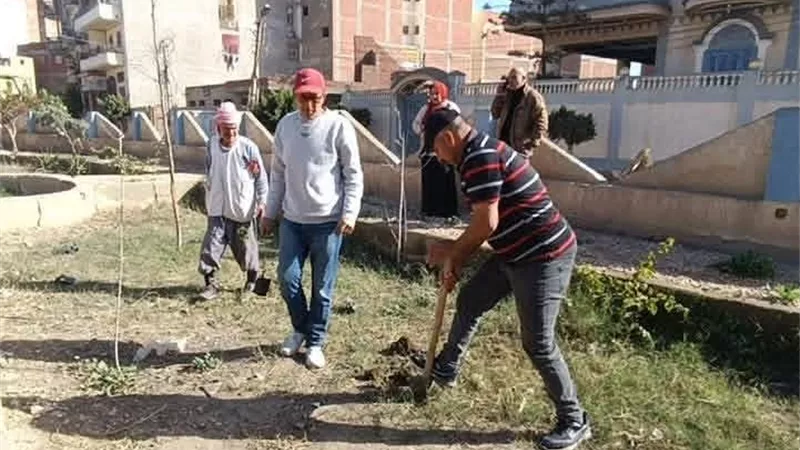 زراعة الأشجار بشوارع وميادين بيلا في محافظة كفر الشيخ