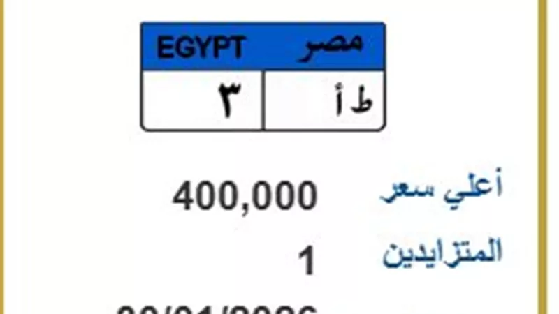بـ 400 ألف جنيه.. شخص واحد ينافس على اقتناء اللوحة المميزة 
