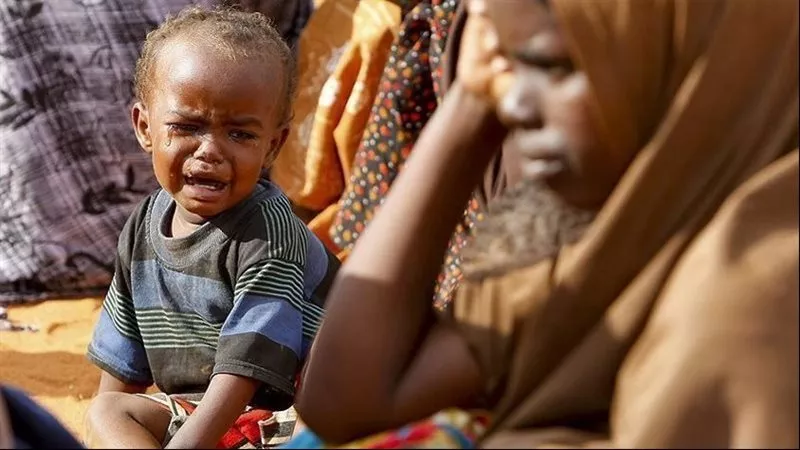 شبكة أطباء السودان: 1300 حالة سوء تغذية في الدلنج بعد حصار عامين