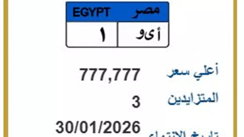 صراع الثلاثة الكبار.. مزاد لوحة «أ ى و 1» يشتعل ويصل لـ777 ألف جنيه