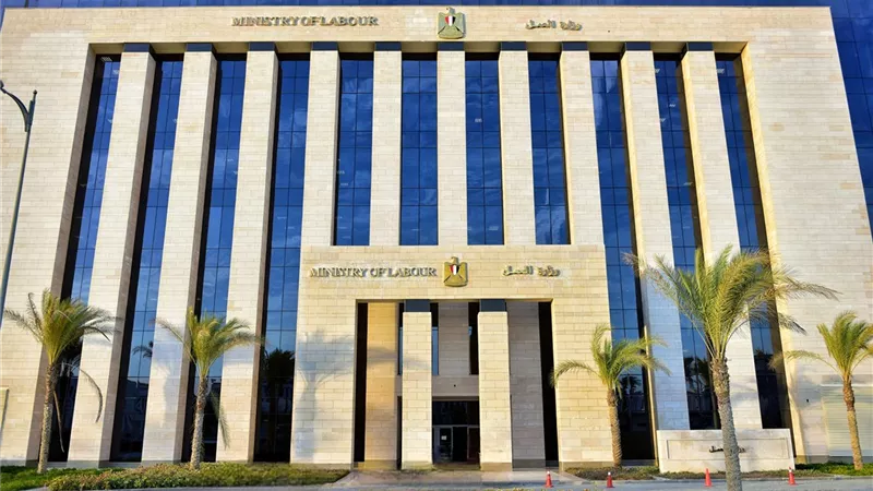 حصاد وزارة العمل بالمحافظات.. تدريب مهني وندوات توعوية| صور