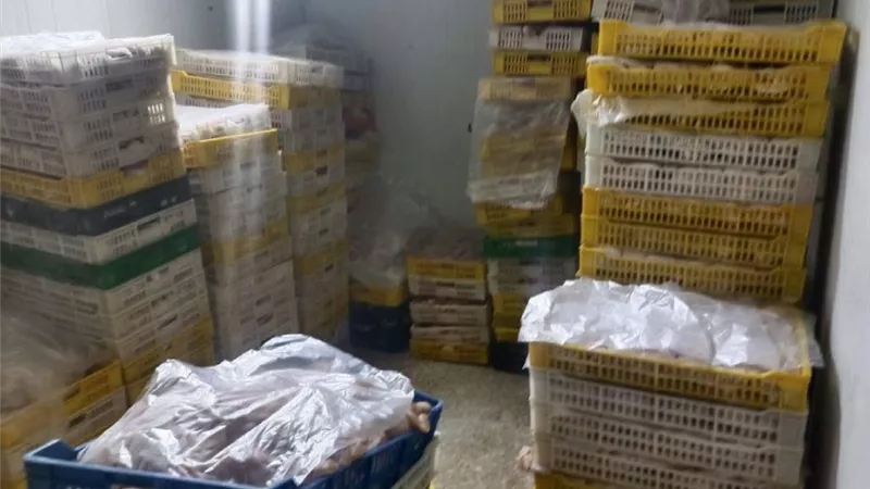 ضبط 530 كيلو لحوم ودواجن ورنجة فاسدة بأسواق الغربية