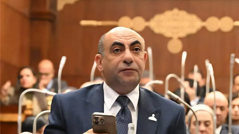 نائب الشيوخ: حماية الأطفال من الهواتف والسوشيال ميديا أولوية تشريعية وطنية