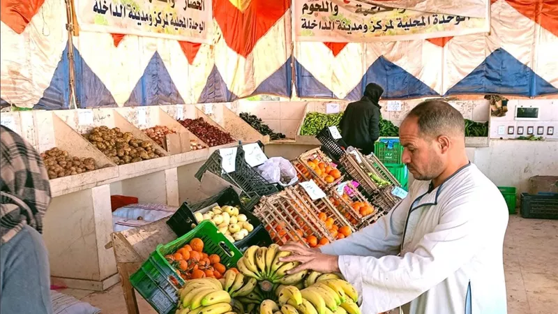 منافذ بيع للسلع الغذائية بأسعار مخفضة في الوادي الجديد