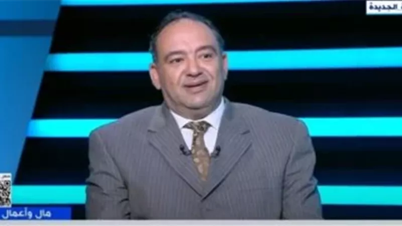 خبير اقتصادي: مبادرة 15% تدعم الصناعة وتخفض التكاليف 
