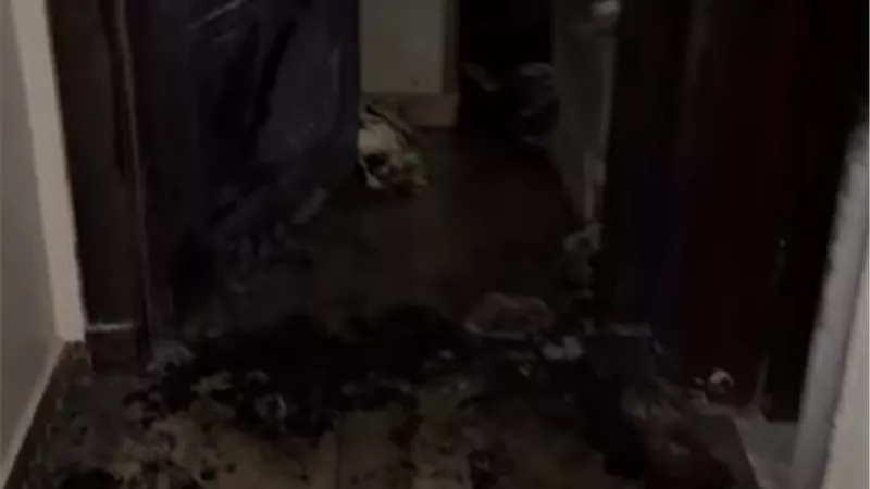 حريق هائل يلتهم شقة مطرب شعبي شهير|تفاصيل 