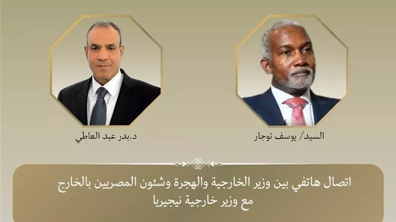 وزير الخارجية يؤكد لنظيره النيجيري دعم مصر لمكافحة الإرهاب