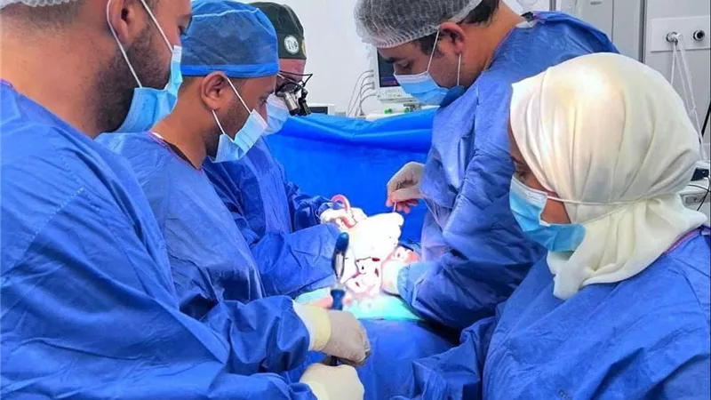 أحمد السبكي: المنتفع بمنظومة التأمين لا يتحمل سوى 482 جنيها من التكلفة