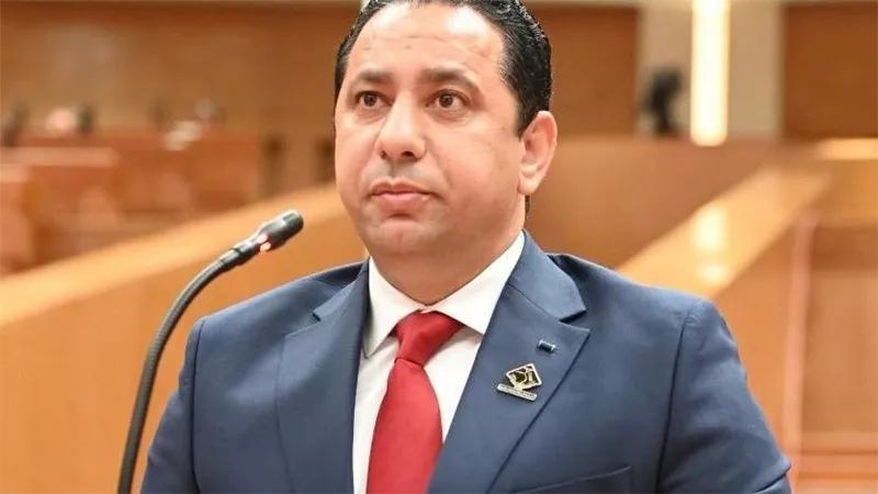 برلماني: مصر ترسخ ثقة المستثمرين في قطاع الطاقة