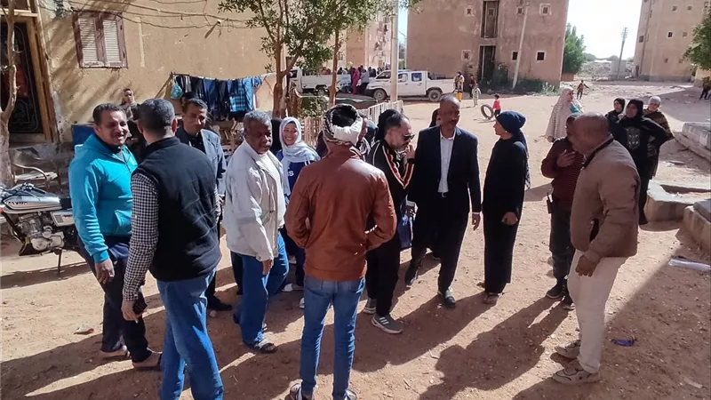 رفع كفاءة حي مساكن الأولى بالرعاية ب​الوادي الجديد