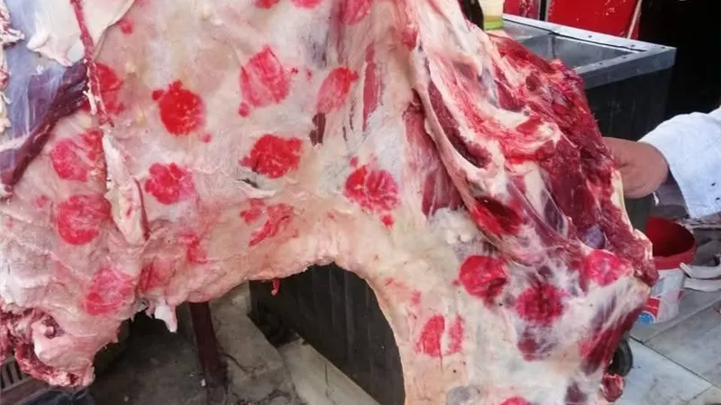 حملة مكثفة تضبط لحوما فاسدة بمحلات الجزارة في بني سويف