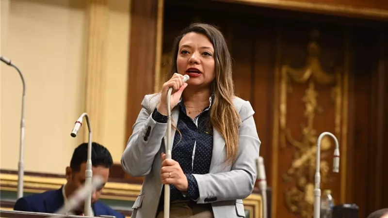مي كرم جبر تتقدم بطلب إحاطة لإنقاذ 10 آلاف مغترب بـ الكهرباء من الاستقالة