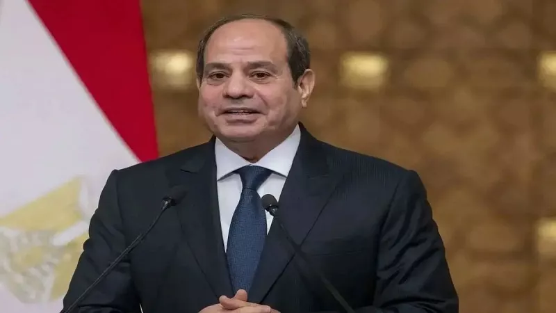 الرئيس السيسي: نجاح الشراكات الاقتصادية مع تركيا يؤكد عمق العلاقات