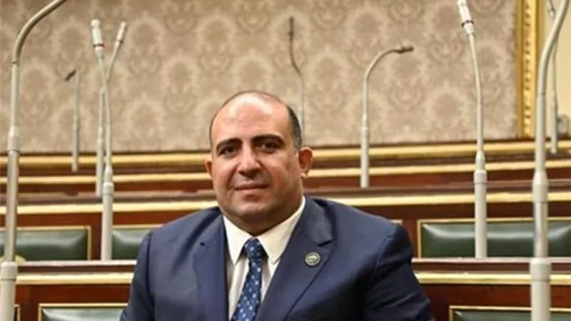 وكيل الشؤون الإفريقية بالنواب يطالب الحكومة بـ«خارطة طريق» زراعية مبتكرة