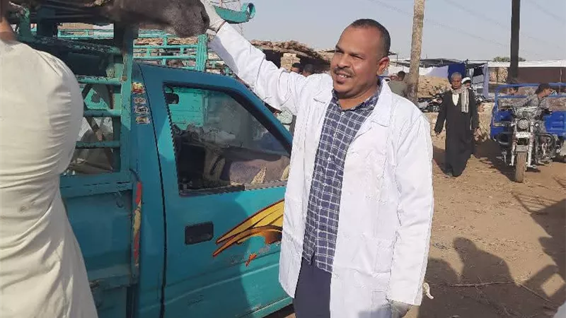 مديرية الطب البيطرى تتابع الحالة الصحية للماشية بسوق إسنا بالأقصر