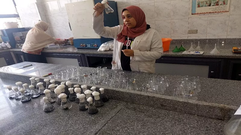 «تحت الميكروسكوب».. مبادرة مصرية رائدة تفتح آفاق العلم للأطفال|فيديو