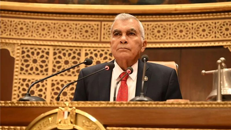 برئاسة عصام فريد.. مجلس الشيوخ يفتح ملف 