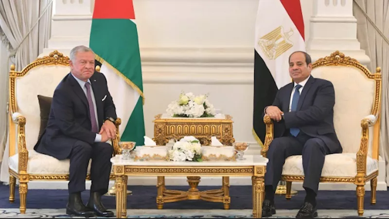 إسماعيل تركي: لقاء الرئيس السيسي وملك الأردن يؤكد أهمية الشراكة لحماية غزة