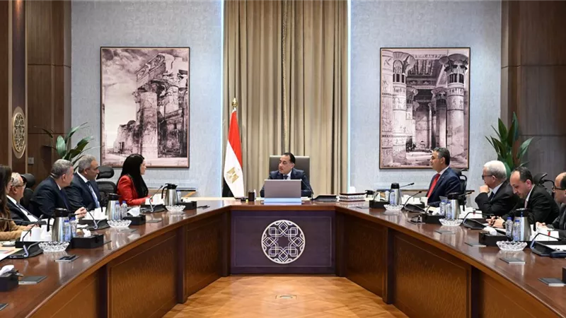 «إعلامي الوزراء»: احم نفسك من الاحتيال الإلكتروني بهذه الطريقة| فيديو 