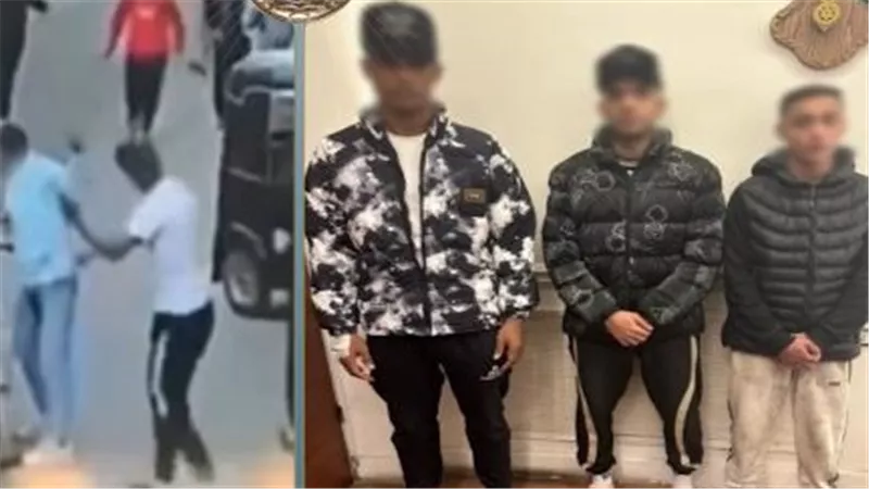 ضبط المتهمين في واقعة فيديو الأسلحة البيضاء بالدقهلية
