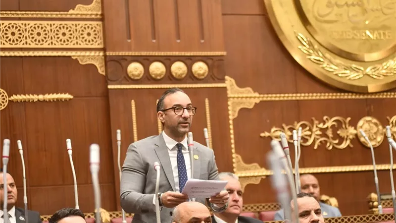 الحمامصي: 35 مليون طفل مصري يواجهون مخاطر الإدمان الرقمي
