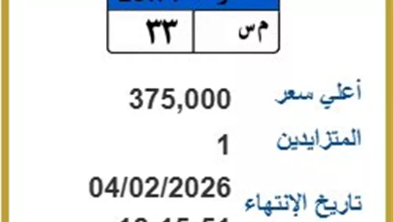 بـ375 ألف جنيه.. اللوحة المميزة «م س 3 3» تشعل المزاد في مرور مصر