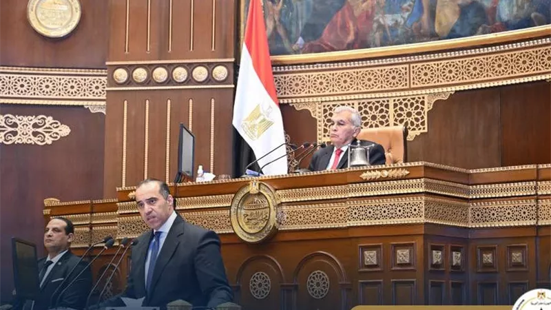 محمود فوزي أمام مجلس الشيوخ: حماية الأطفال رقميا قضية أمن قومي